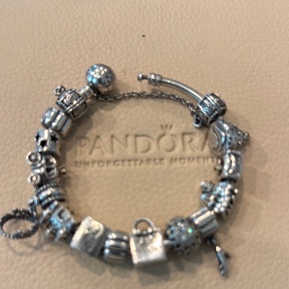 Pandora Silver Charm Bracelet